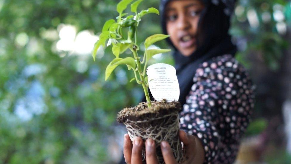 A girl in a head scarf holding a plant to the camera