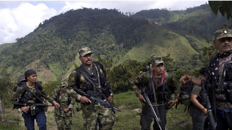 Farc rebels walkin Antioquia state, in the northwest Andes of Colombia, 6 January 2016