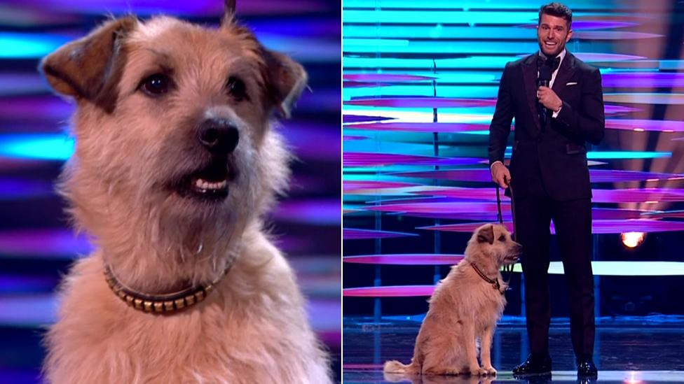 Joel Dommett with dog Barley