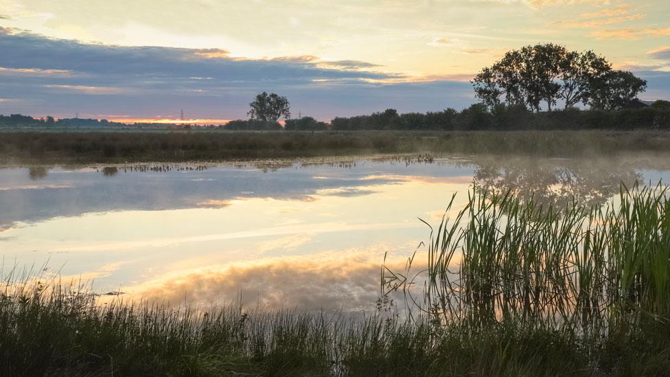 Wicken Fen