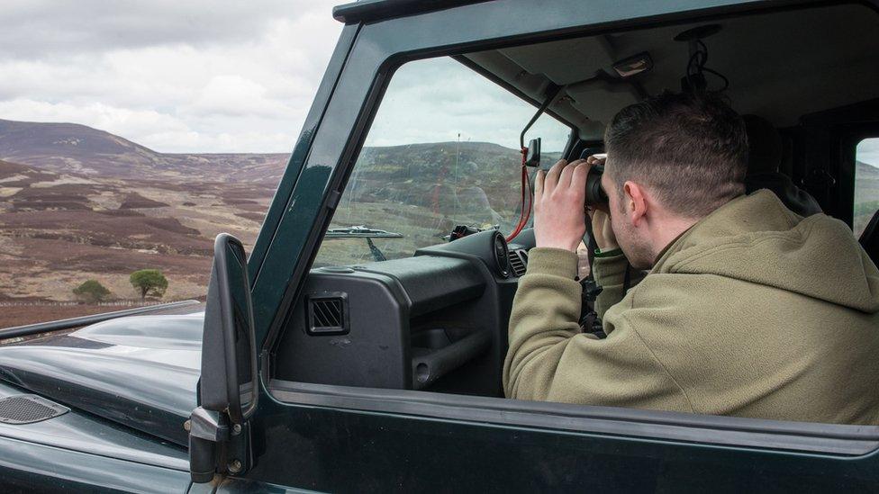 Gamekeepers searching