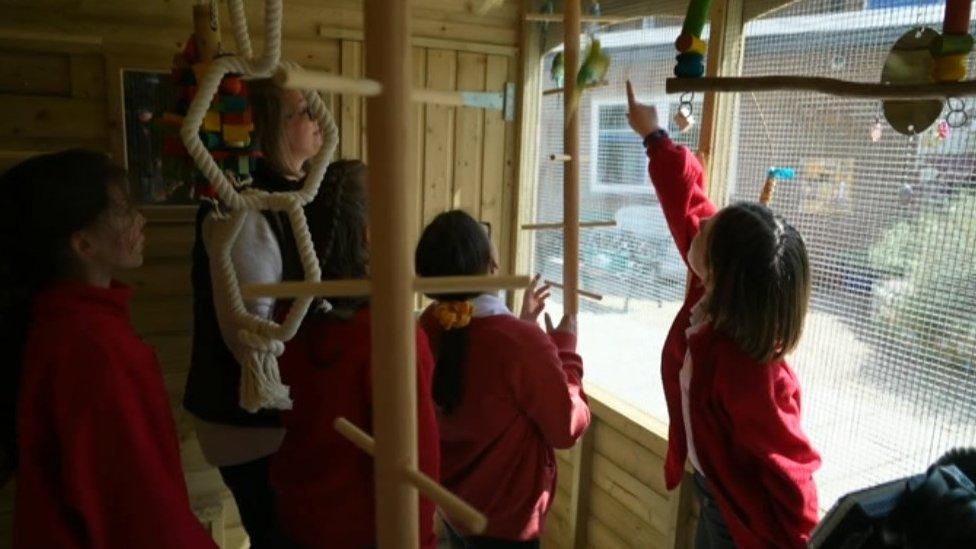 Pupils in the aviary with the new birds