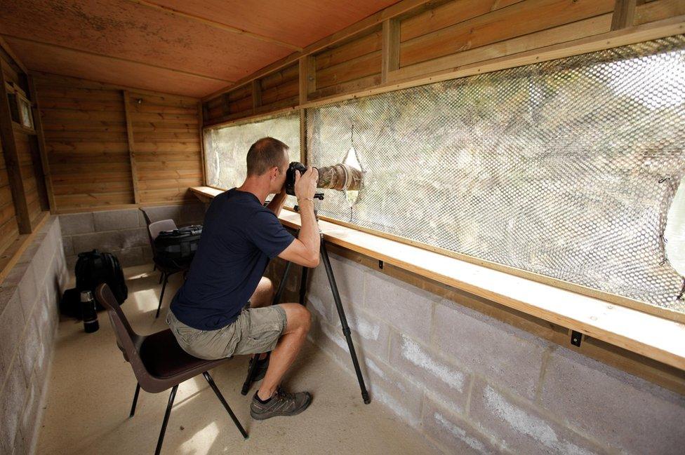 Lawrence Ball in the osprey hide