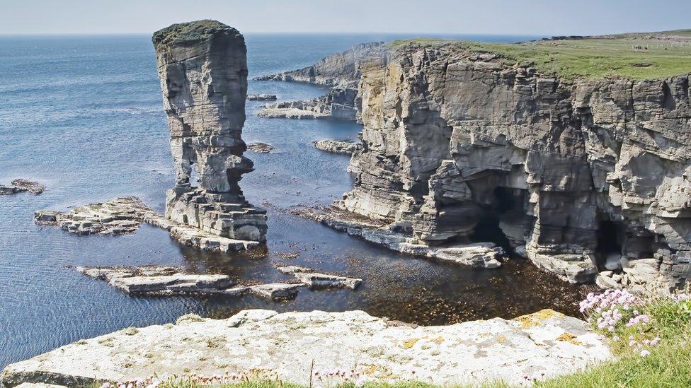 Orkney cliffs