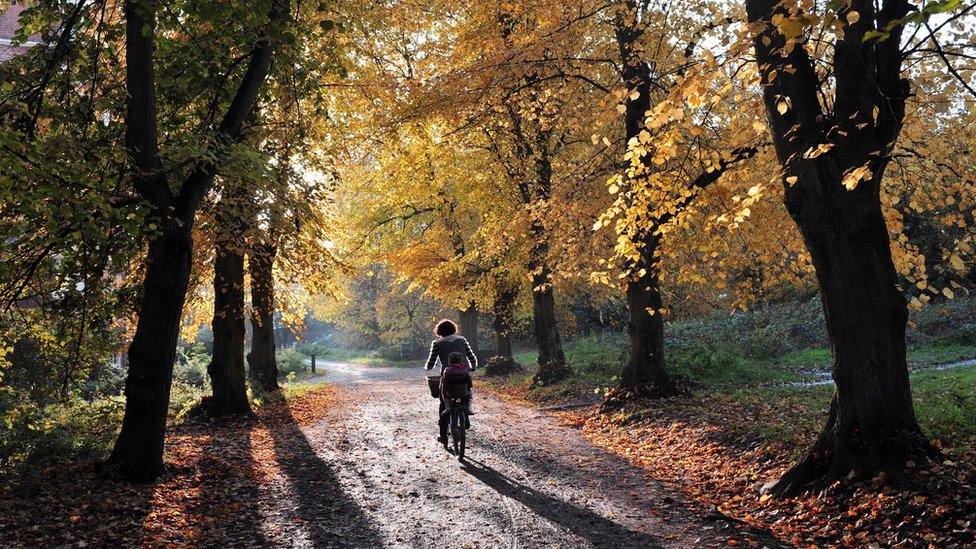 Cyclist