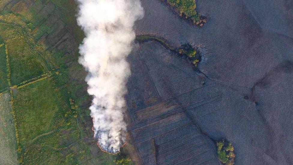 Gorse fire