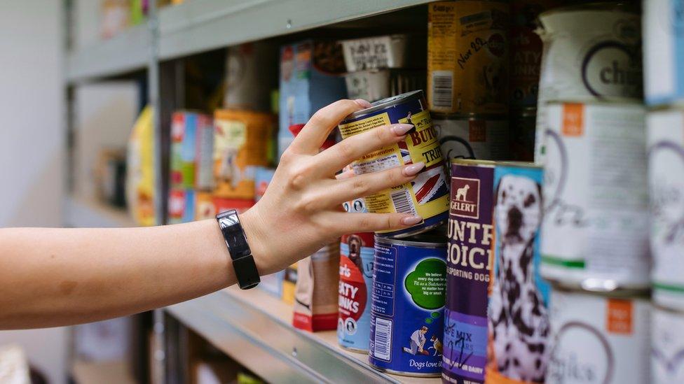 Cans on a shelf