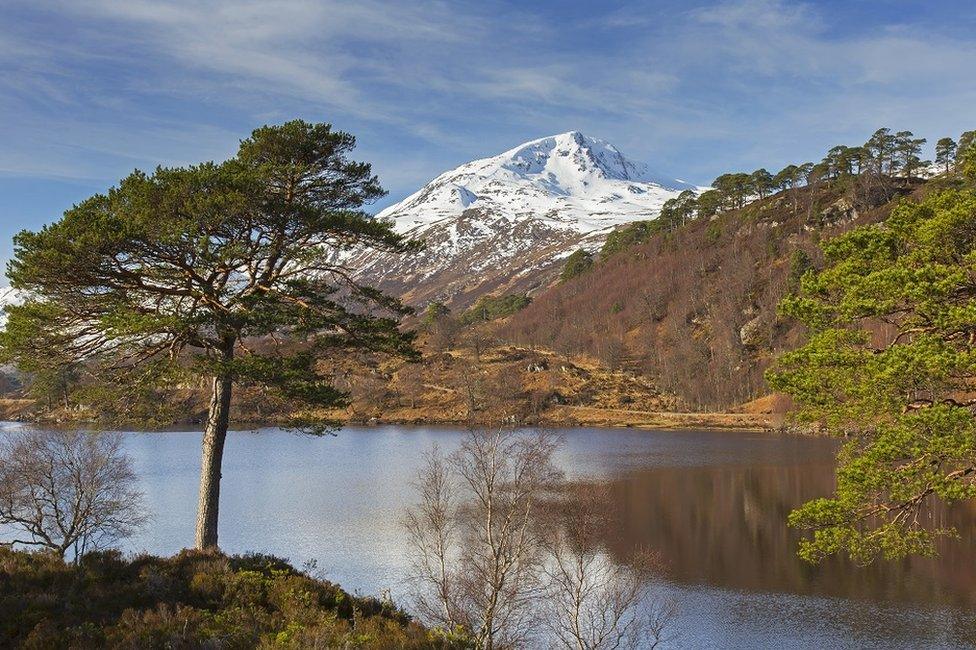 Glen Affric