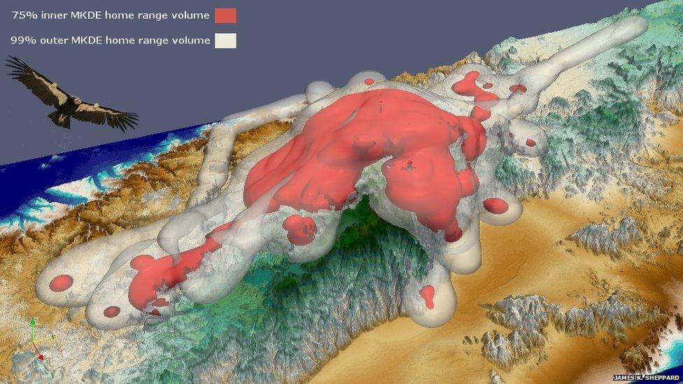 graphic of condor's range in 3D