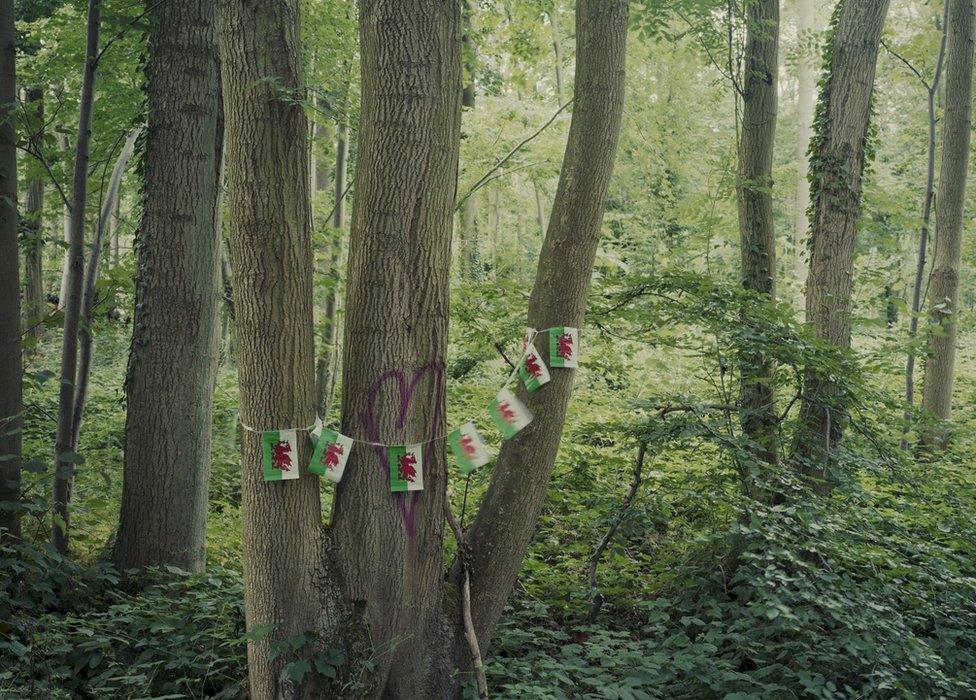 Welsh flags