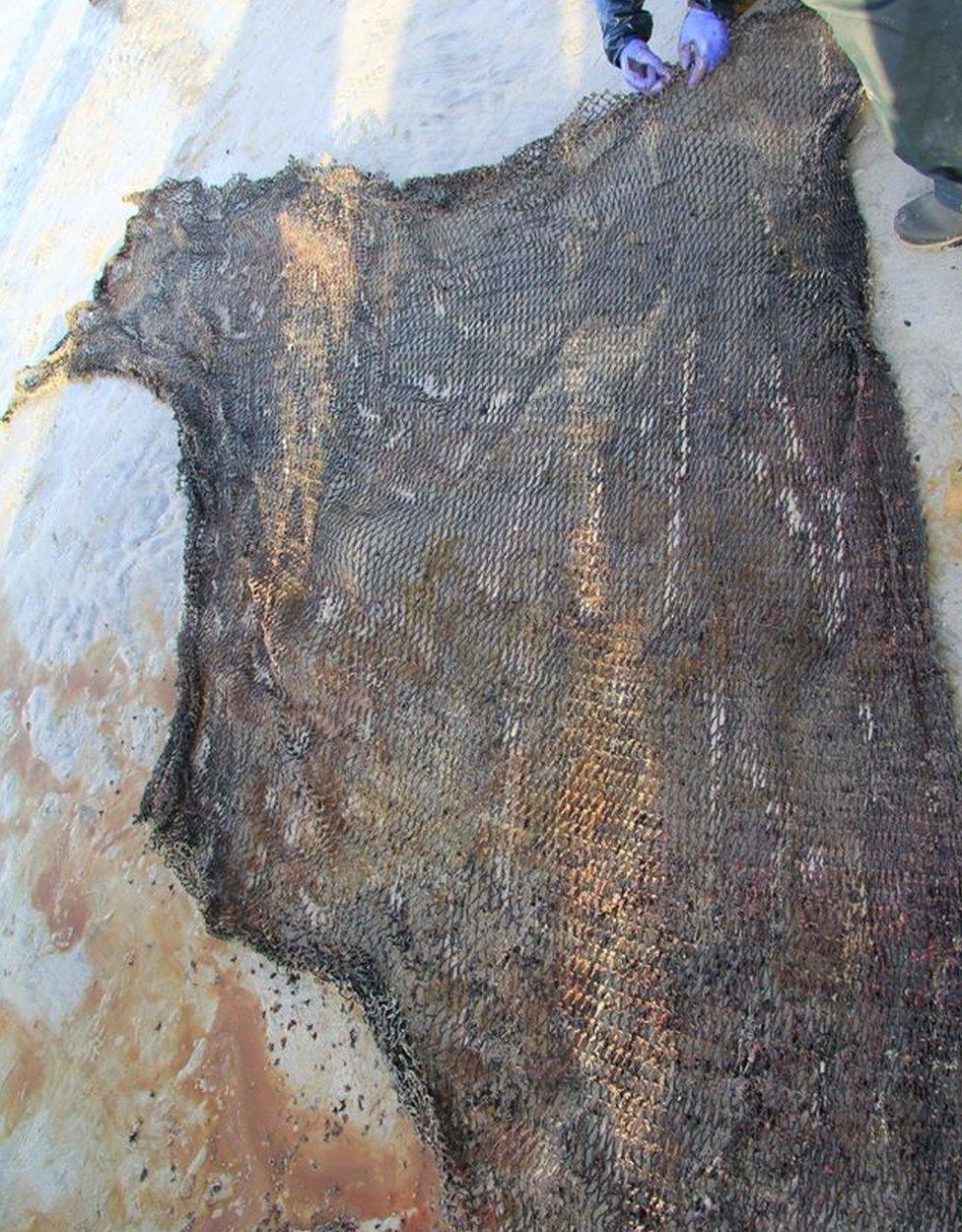 Net from whale's stomach