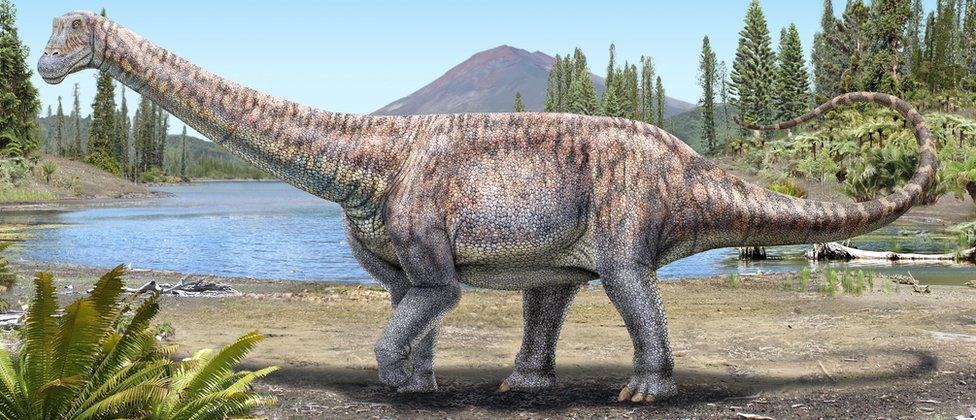 An artist's impression of a plant-eating dinosaur whose remains scientists discovered in the Atacama Desert in Chile