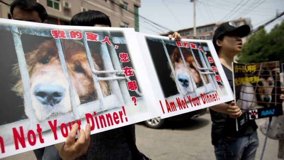 Animal rights advocates hold protest signs outside the Yulin government office in Beijing (10 June 2016)