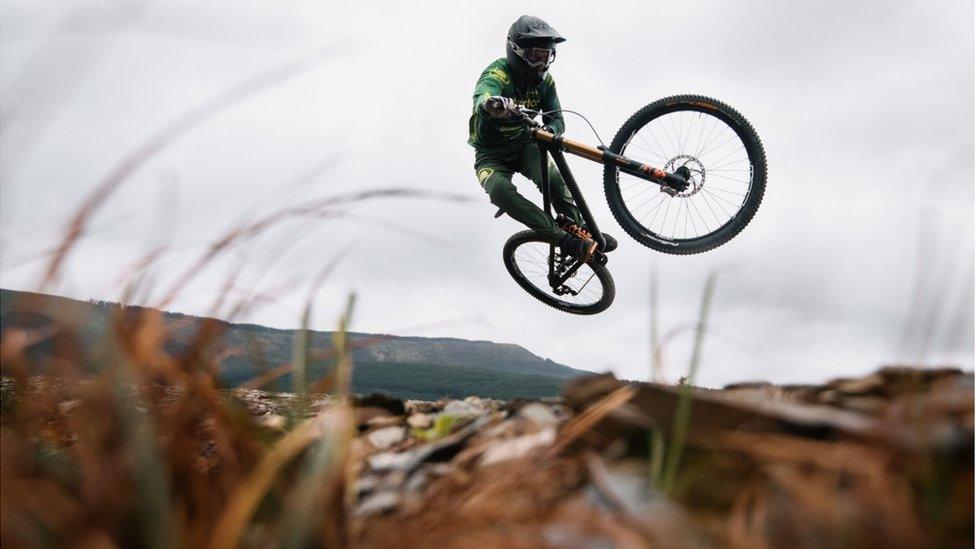 Dyfi Bike Park