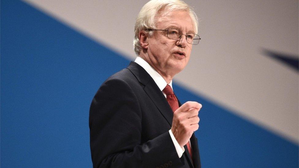 Secretary of State for Exiting the European Union (Brexit Minister) David Davis