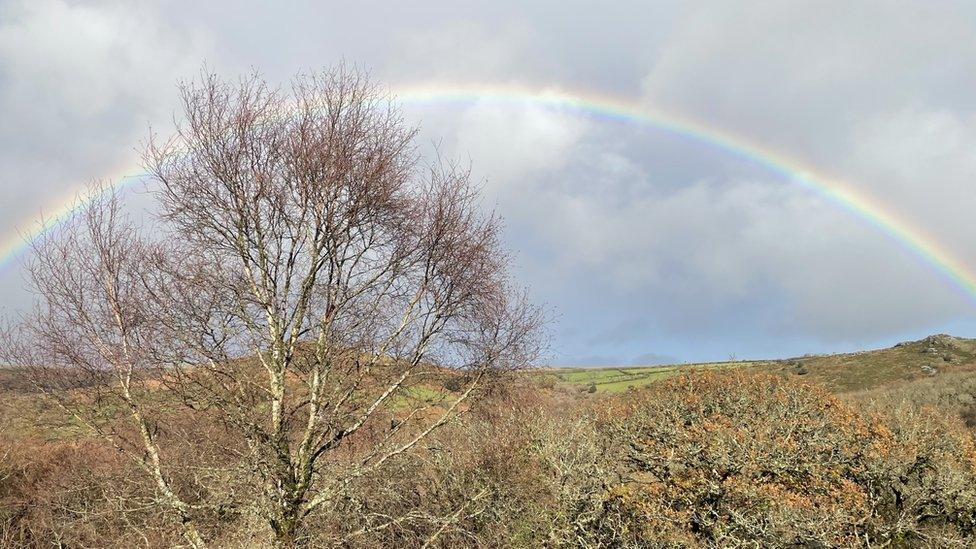 Dartmoor