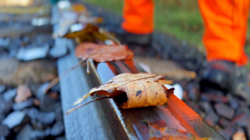 Leaves on line