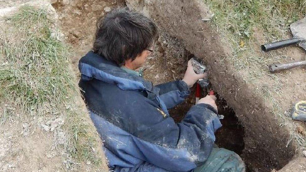 Soil samples being taken from the giant