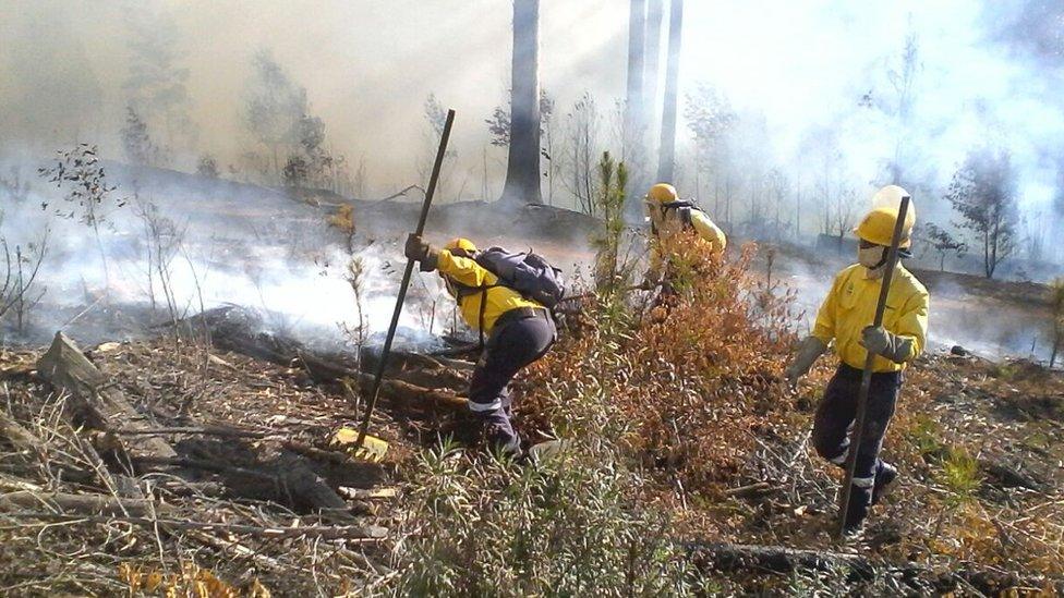 Firefighters putting out fires