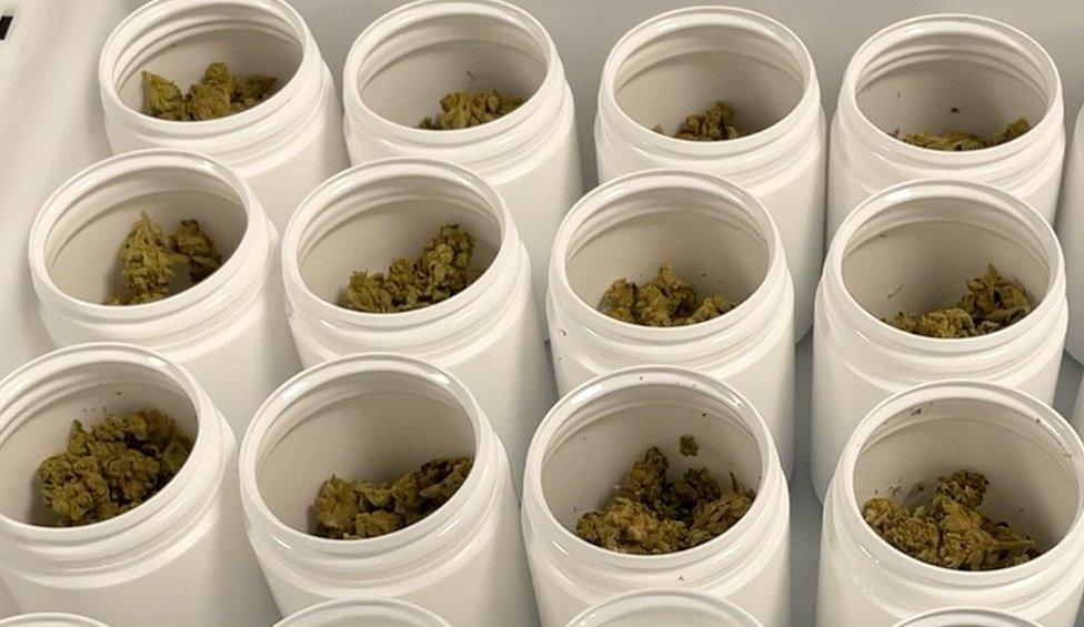 Containers with medical cannabis