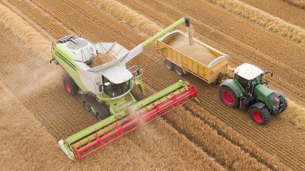 Combine harvester and tractor harvesting food