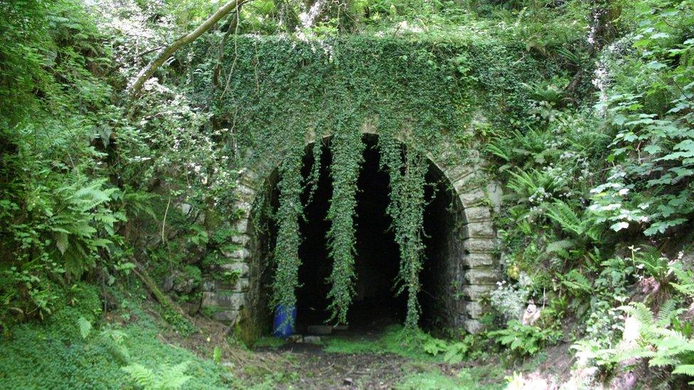 The overgrown Lissummon Tunnel