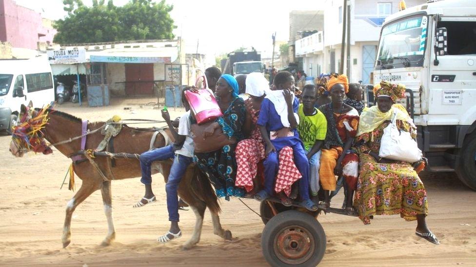 A donkey cart