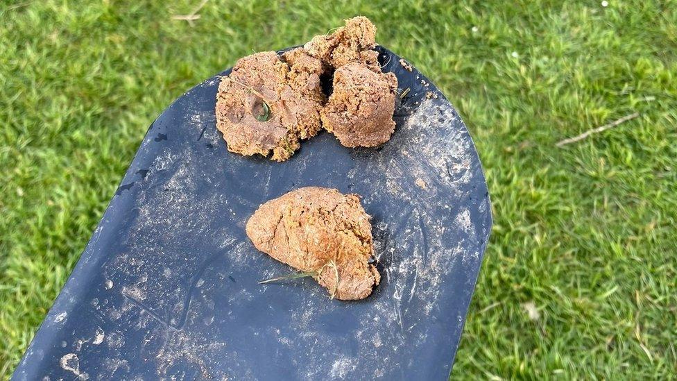 The dog poo that Norman Rees picked up at Caerau Ely