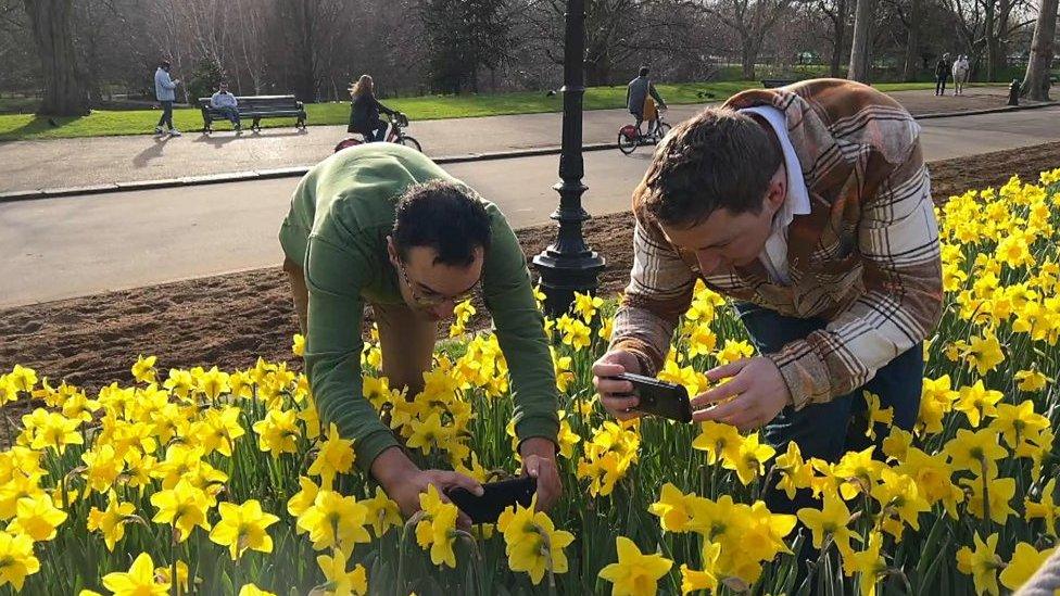 two men taking pictures of flowers