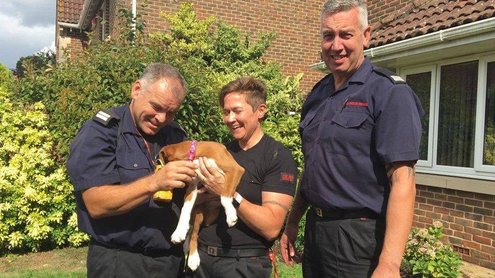 Kent fire crews with the puppy they rescued