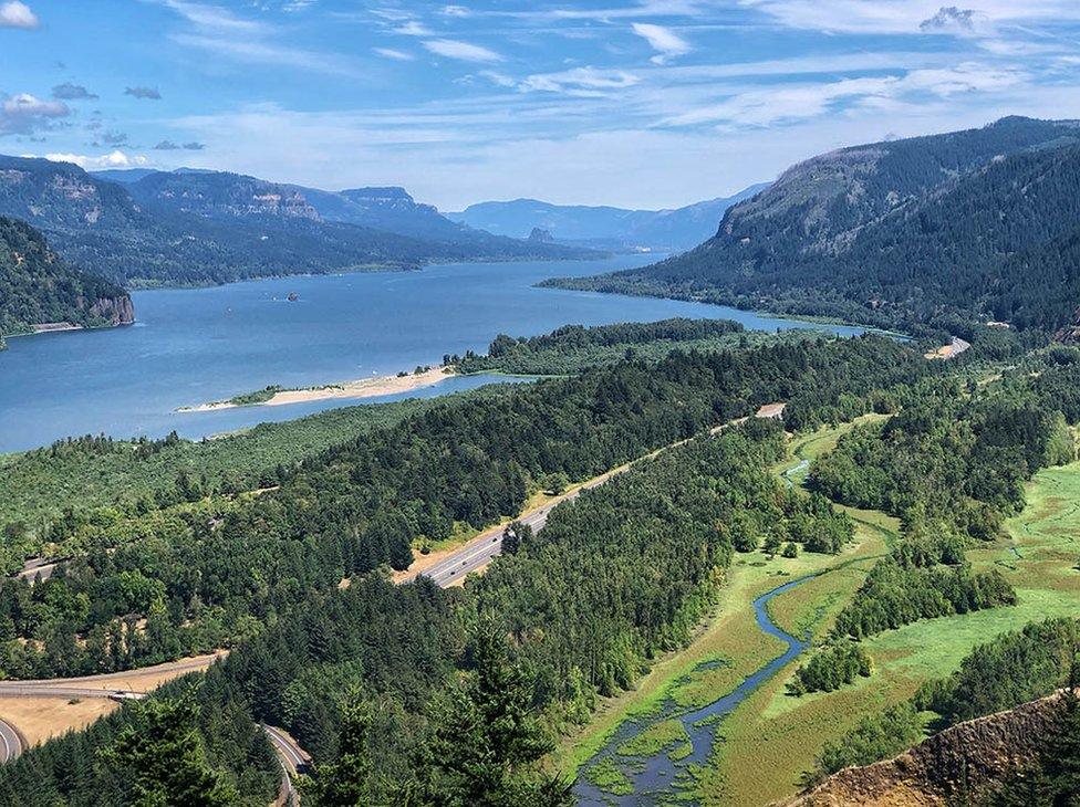 View of trees, hills and water from high up