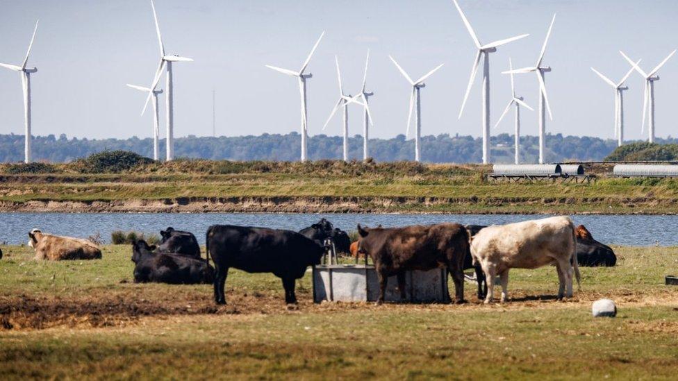 Wind farm in East Sussex