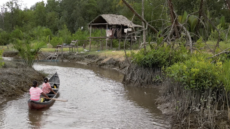 Women paddle a canoe