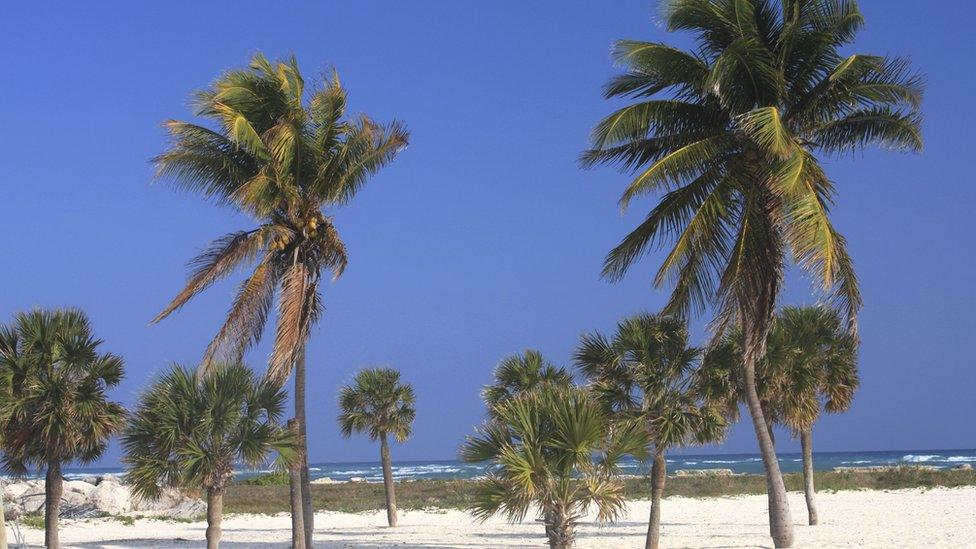The Bahamas