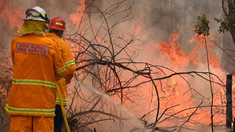 firefighters-tackling-fire.