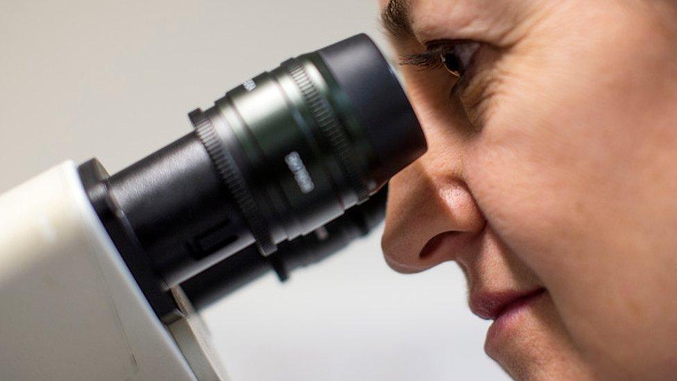 A scientist looking through a microscope