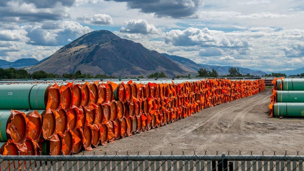 Stockpiled steel pipe to be used in the construction of the Trans Mountain Expansion Project