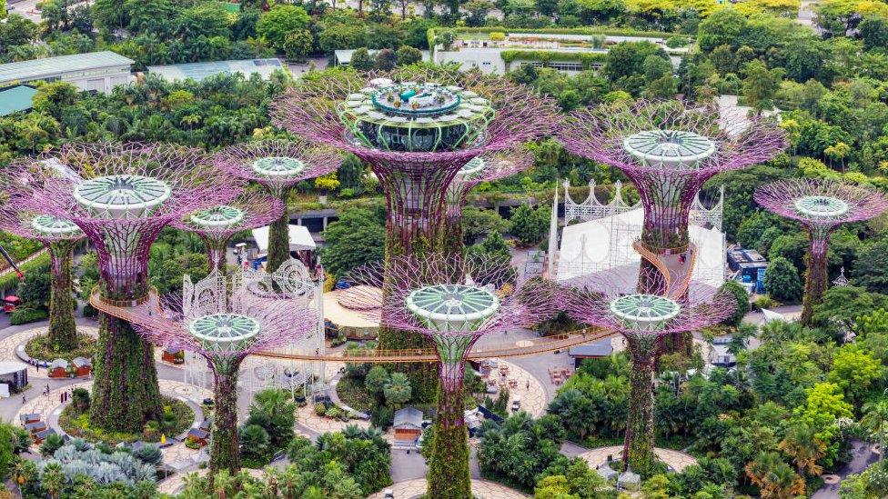 solar powered trees in singapore