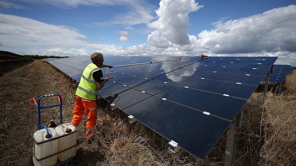 Man cleaning solar panels at Landmead solar farm