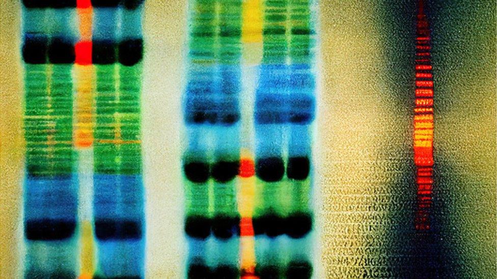 Gene sequence