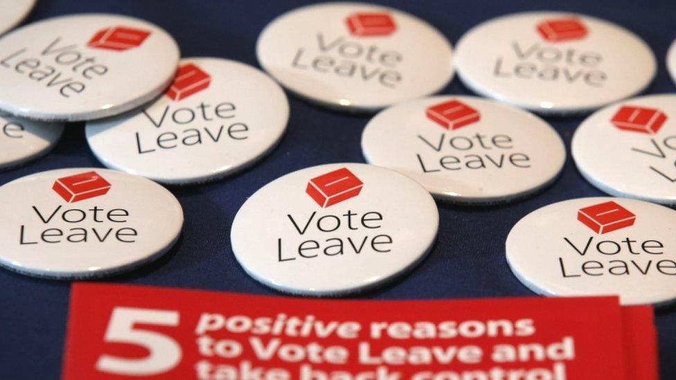 Vote Leave badges