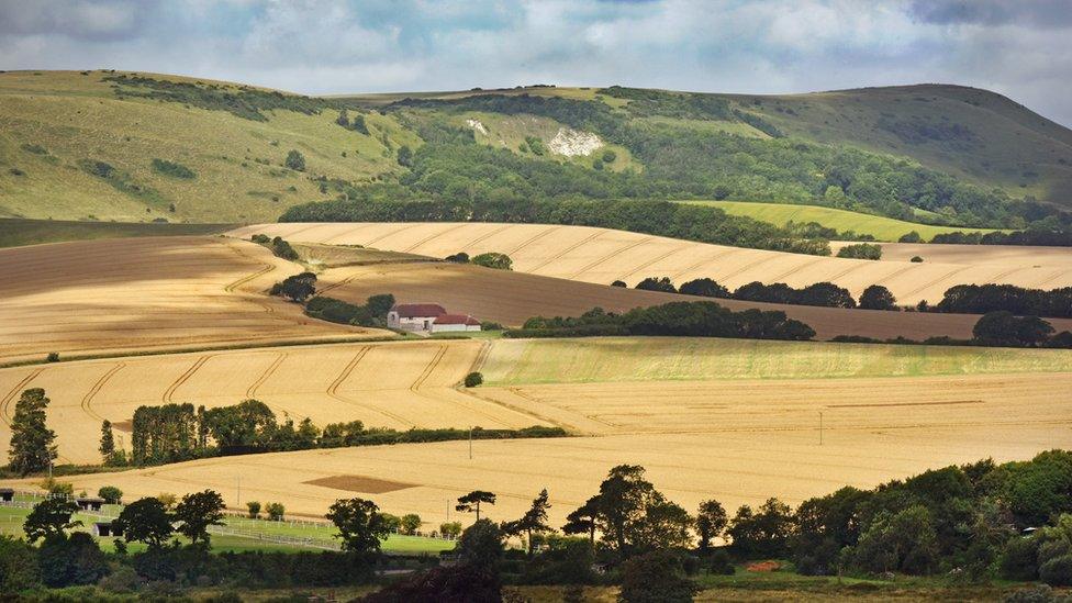 South Downs National Park