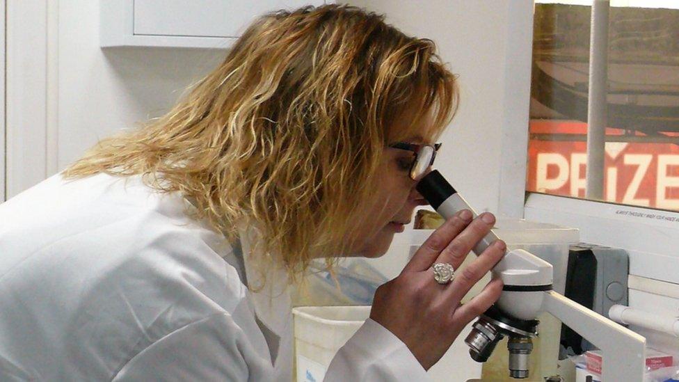 Denise Carlton using a microscope at the Seaquarium at Clacton Pier