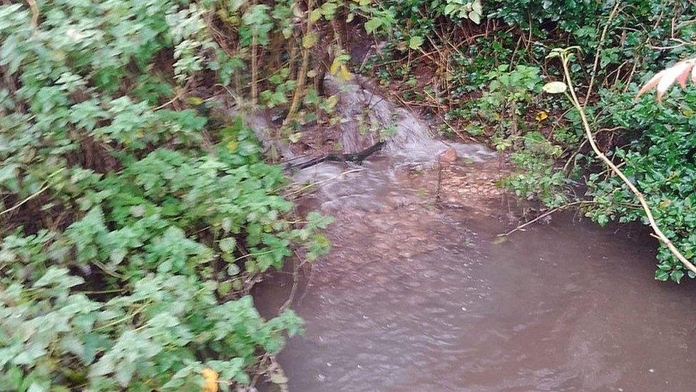 Storm discharge to river from land treatment area