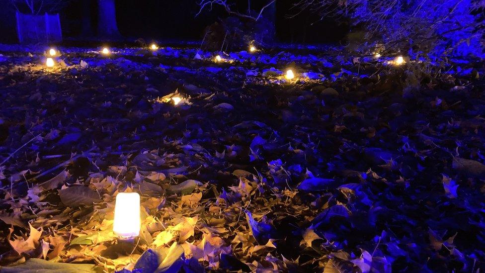 Small lights buried amongst leaves on the ground in the dark