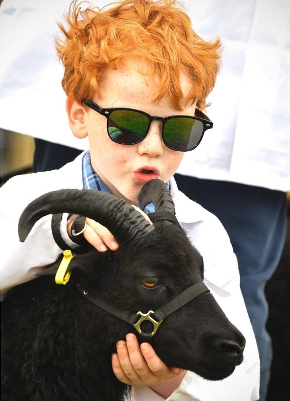 Boy with sheep