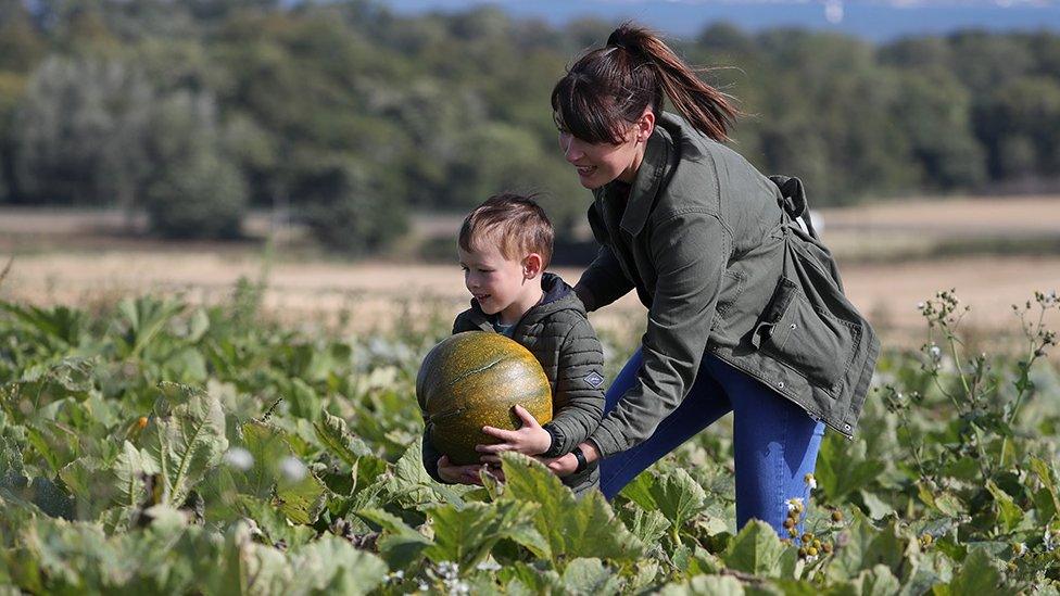 Visit to pumpkin farm