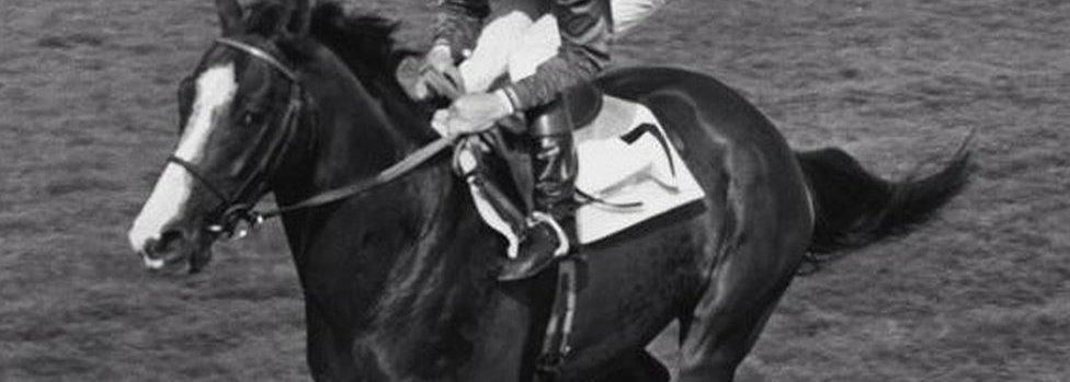 An unissued library picture of Shergar with Walter Swinburn in the saddle