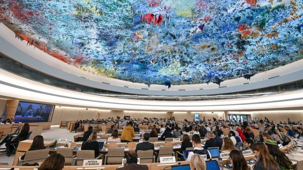 Children from around the world took the floor at the UN Human Rights Council to demand universal internet access, and protection for minors in digital environments