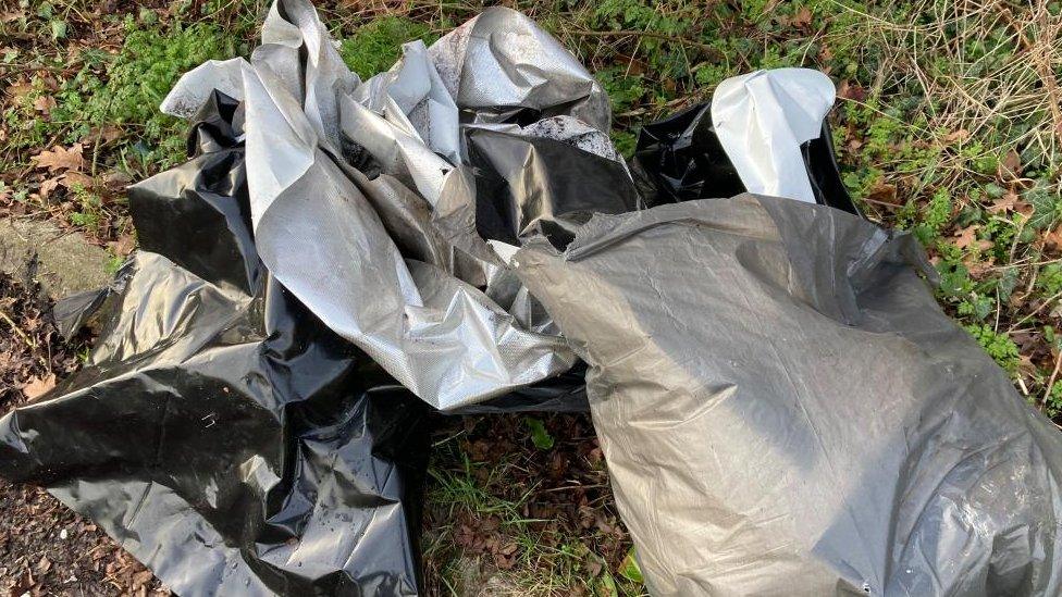 Overflowing bin bags on grass